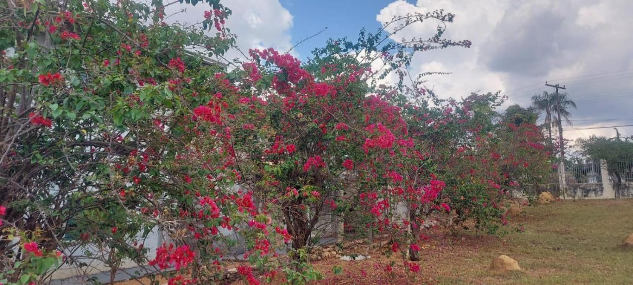 Villa De Assis Suites Alto Paraíso de Goiás Buitenkant foto